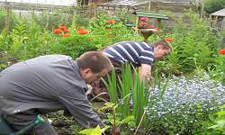 Day Horticulture Service - The Stables Edgerton